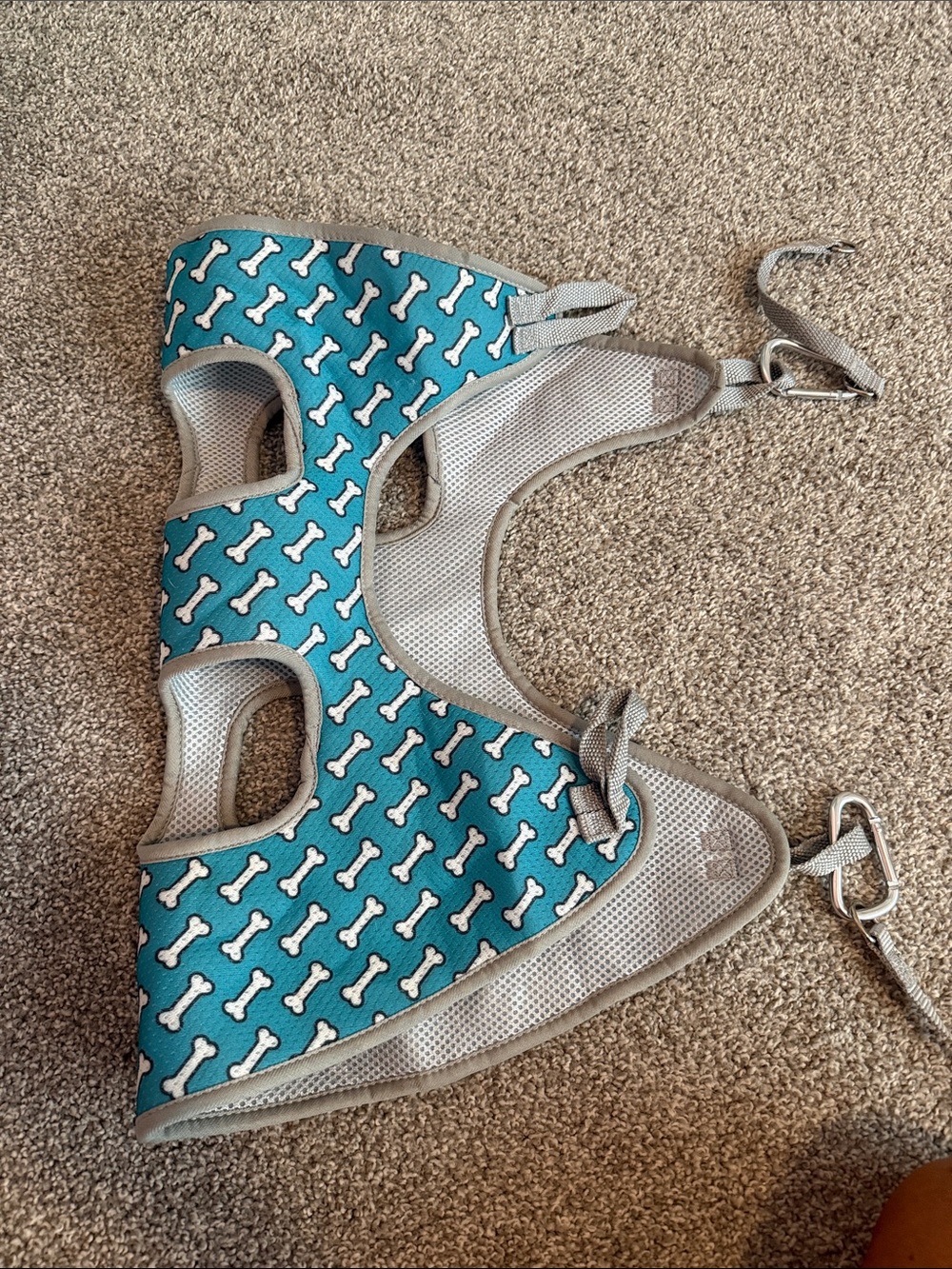 Teal Dog Harness with White Bone Print. For nail clipping